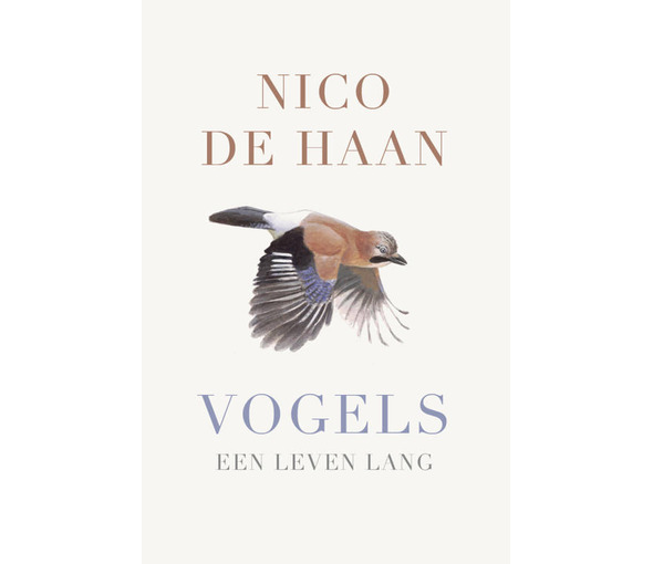 vbk_belgie_vogels_-_nico_de_haan[1].jpg